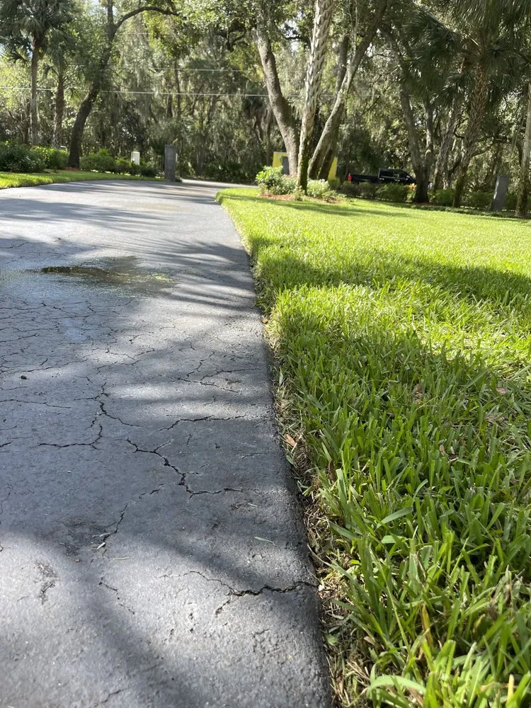 Professional yard cleanup service in Brandon, FL - Lovett Or Leaf It Lawncare Services