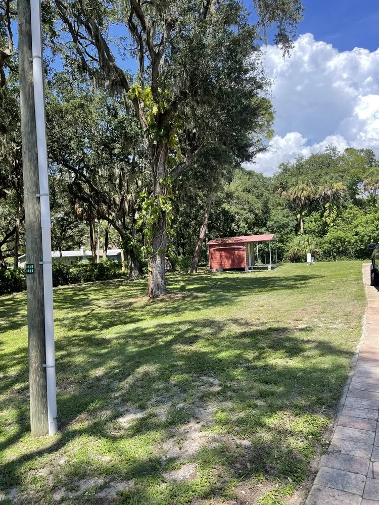 Affordable yard cleanup service in Brandon, FL - Lovett Or Leaf It Lawncare Services