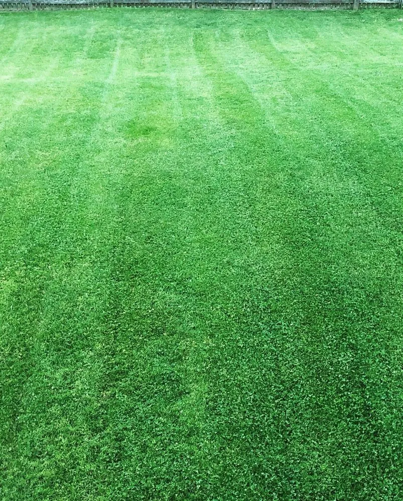 Professional outdoor landscaping in Charles Town, WV - Lovin Lawn Care