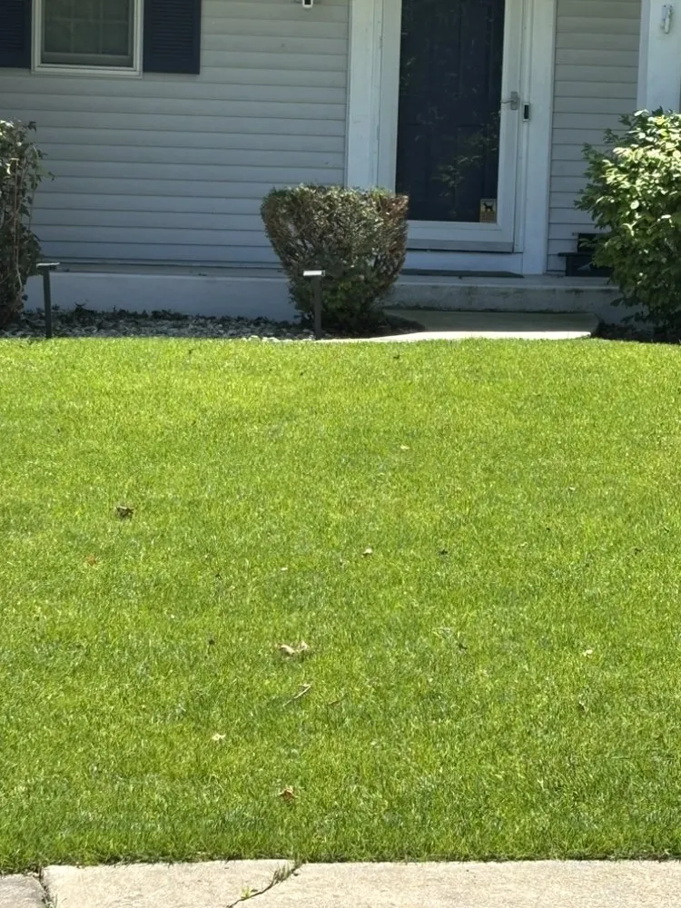 Top-rated outdoor landscaping in VALPARAISO, IN by Lovin N Leafin