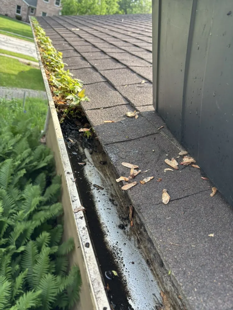 Professional outdoor landscaping for homes across VALPARAISO, IN - Lovin N Leafin