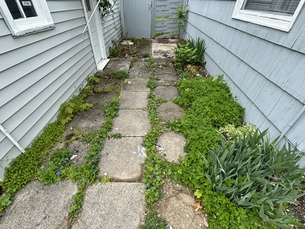 Professional yard cleanup service experts serving VALPARAISO, IN - Lovin N Leafin