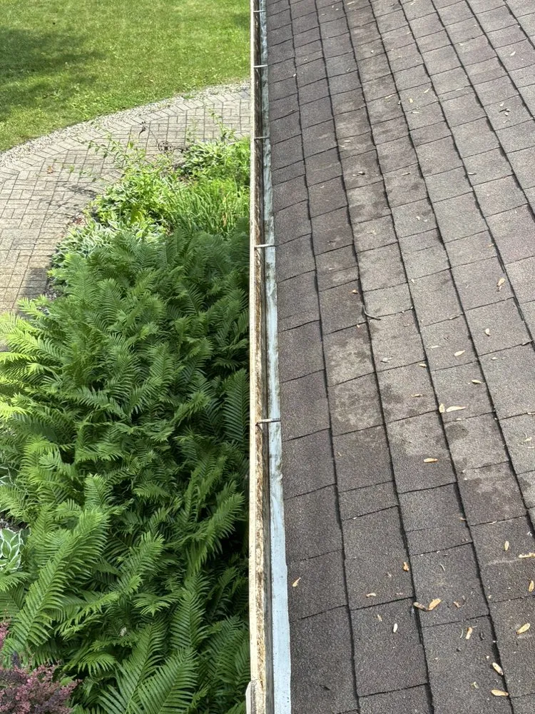 Top-rated yard maintenance experts serving VALPARAISO, IN - Lovin N Leafin