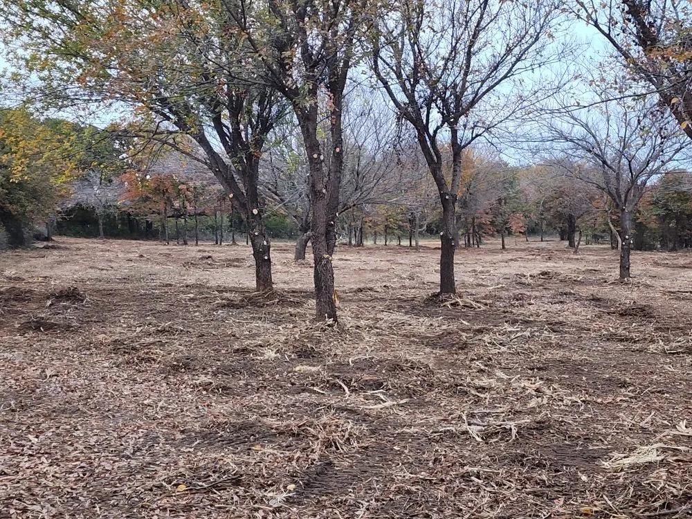 Top-rated lawn mowing service in Graham, TX by Loving Forestry Mulching and Land Services