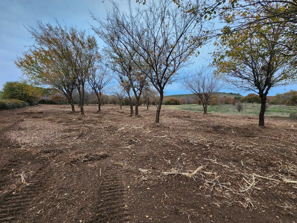 Trusted lawn mowing service for homes across Graham, TX - Loving Forestry Mulching and Land Services