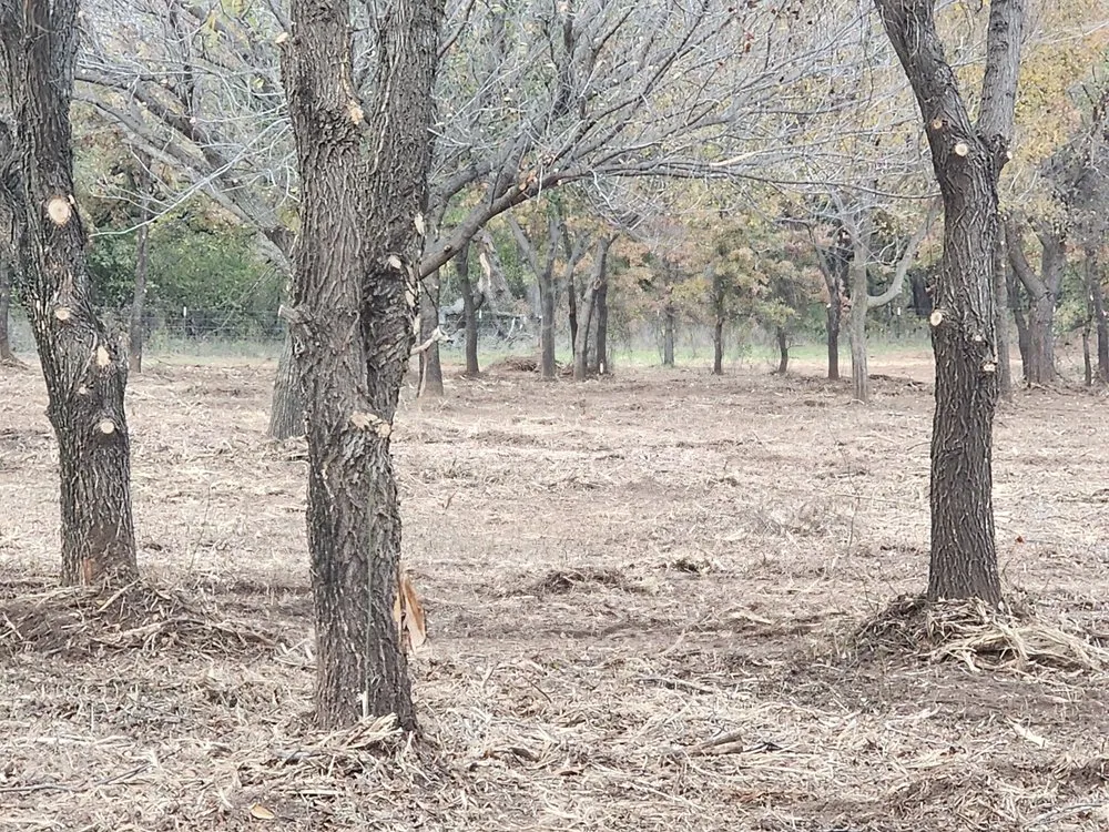 Expert garden landscaping near you across Graham, TX - Loving Forestry Mulching and Land Services