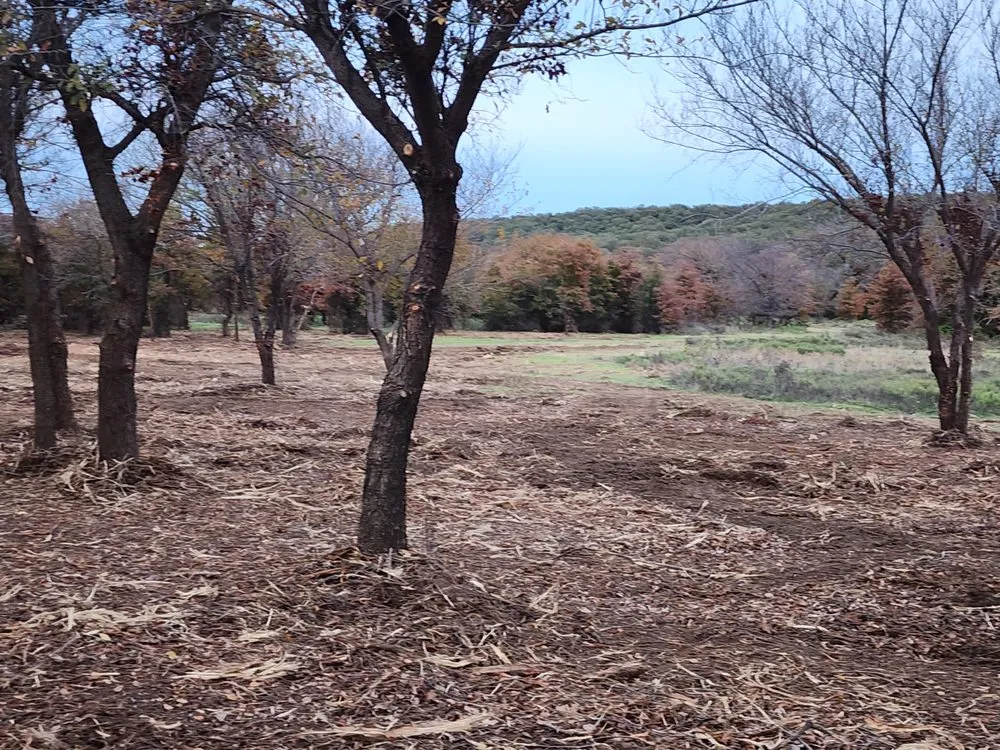 Affordable lawn mowing service in Graham, TX - Loving Forestry Mulching and Land Services