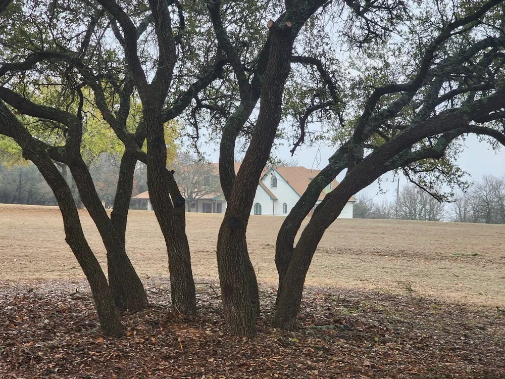 Reliable residential landscaping in Graham, TX - Loving Forestry Mulching and Land Services