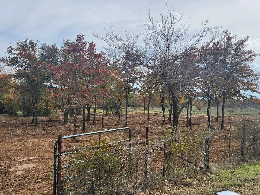 Affordable lawn mowing service in Graham, TX - Loving Forestry Mulching and Land Services