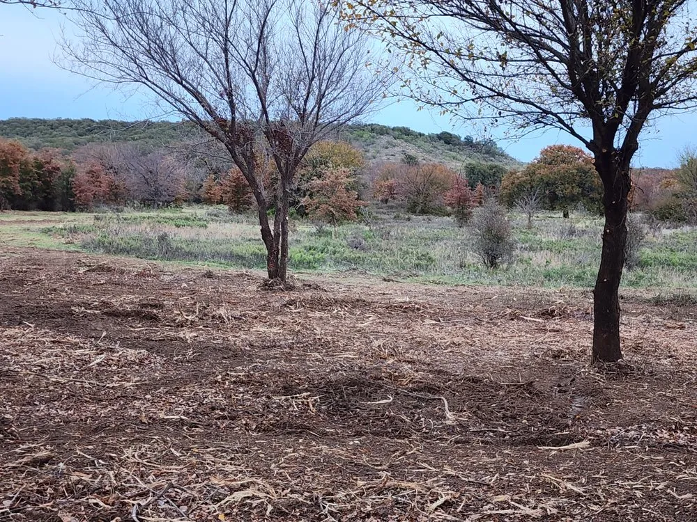 Expert lawn care service experts serving Graham, TX - Loving Forestry Mulching and Land Services