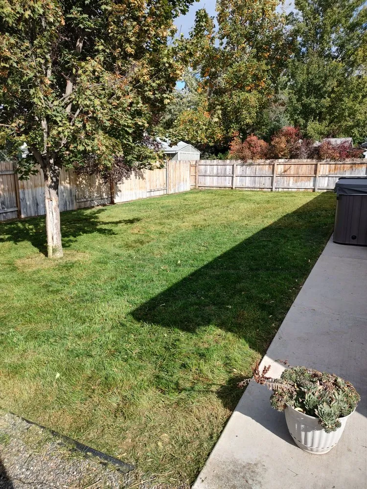 Expert yard cleanup service in Caldwell, ID - Loving Green Lawn Care and Landscaping
