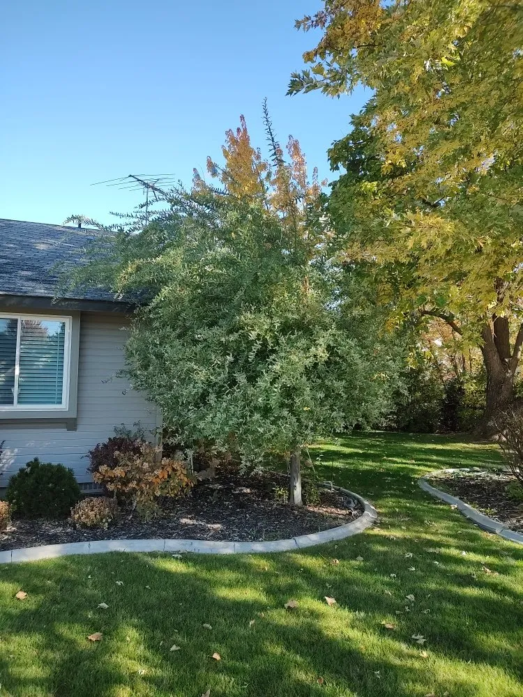 Trusted landscape installation in Caldwell, ID - Loving Green Lawn Care and Landscaping