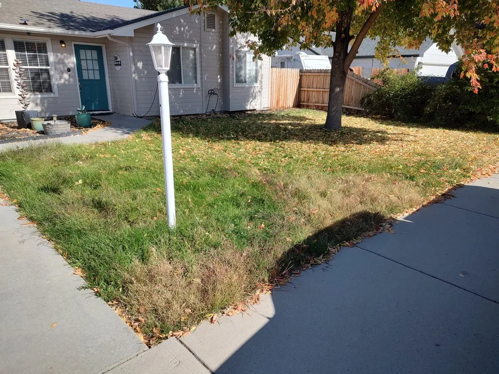 Professional lawn care service experts serving Caldwell, ID - Loving Green Lawn Care and Landscaping