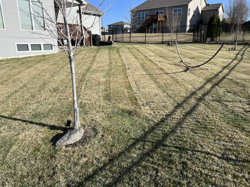 Reliable outdoor landscaping for residential properties in Valley, NE by Lovings Mow and Snow