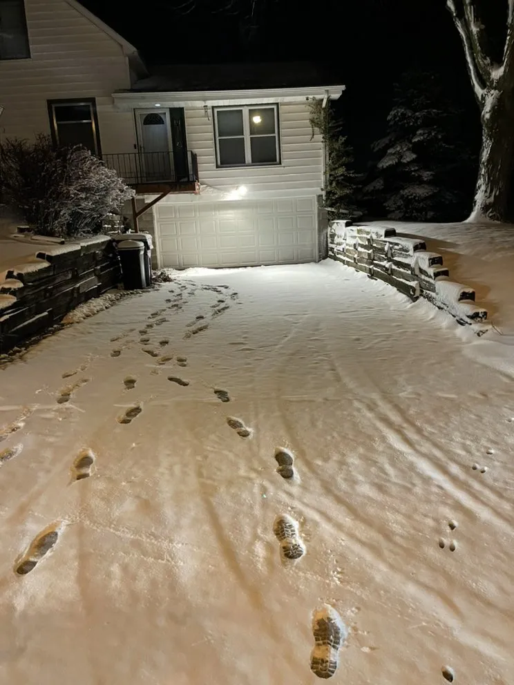 Trusted lawn mowing service in Valley, NE - Lovings Mow and Snow