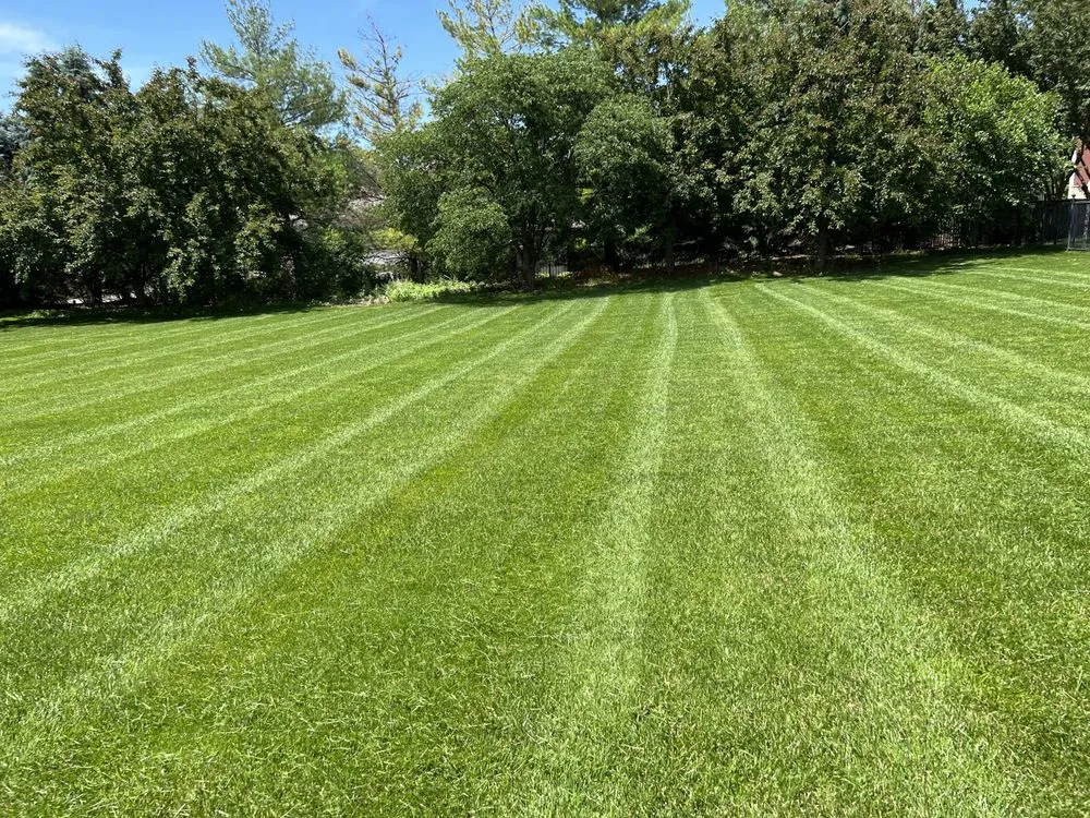 Top-rated landscape design near you in Valley, NE by Lovings Mow and Snow