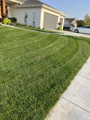 Lovings Mow and Snow