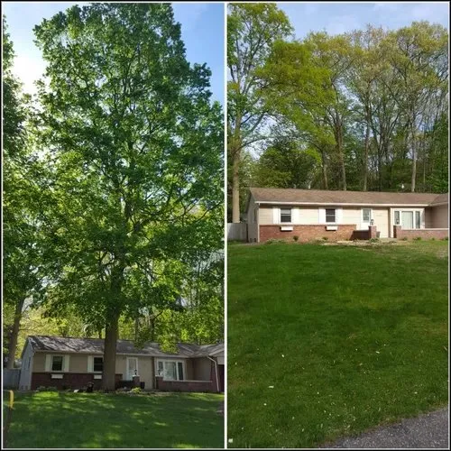 Trusted lawn care service in Fredericksburg, VA by Loving's Tree and Stump Removal