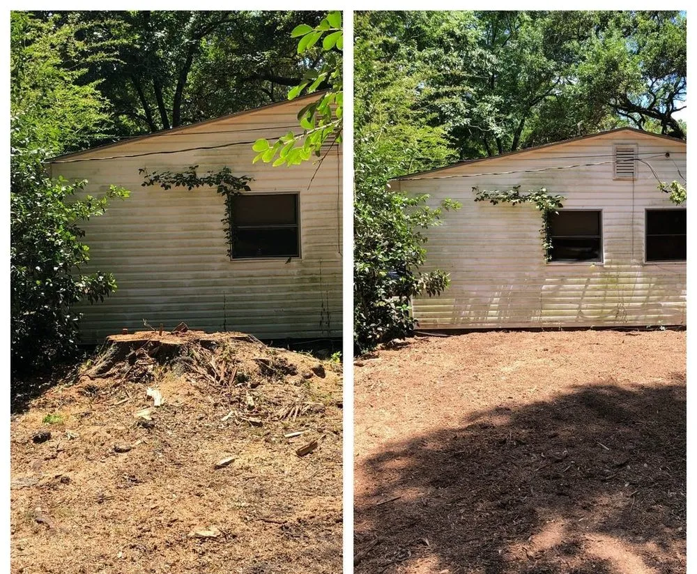 Local lawn care service experts serving Fredericksburg, VA - Loving's Tree and Stump Removal