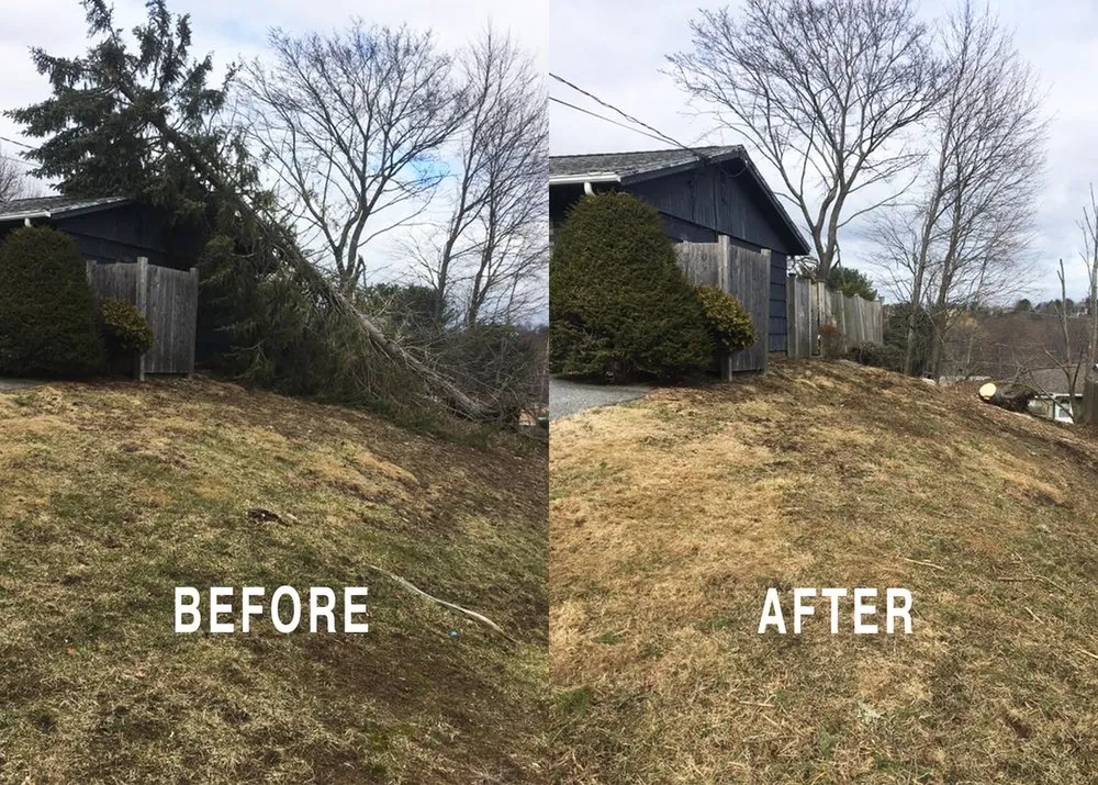 Trusted landscape installation in Fredericksburg, VA by Loving's Tree and Stump Removal