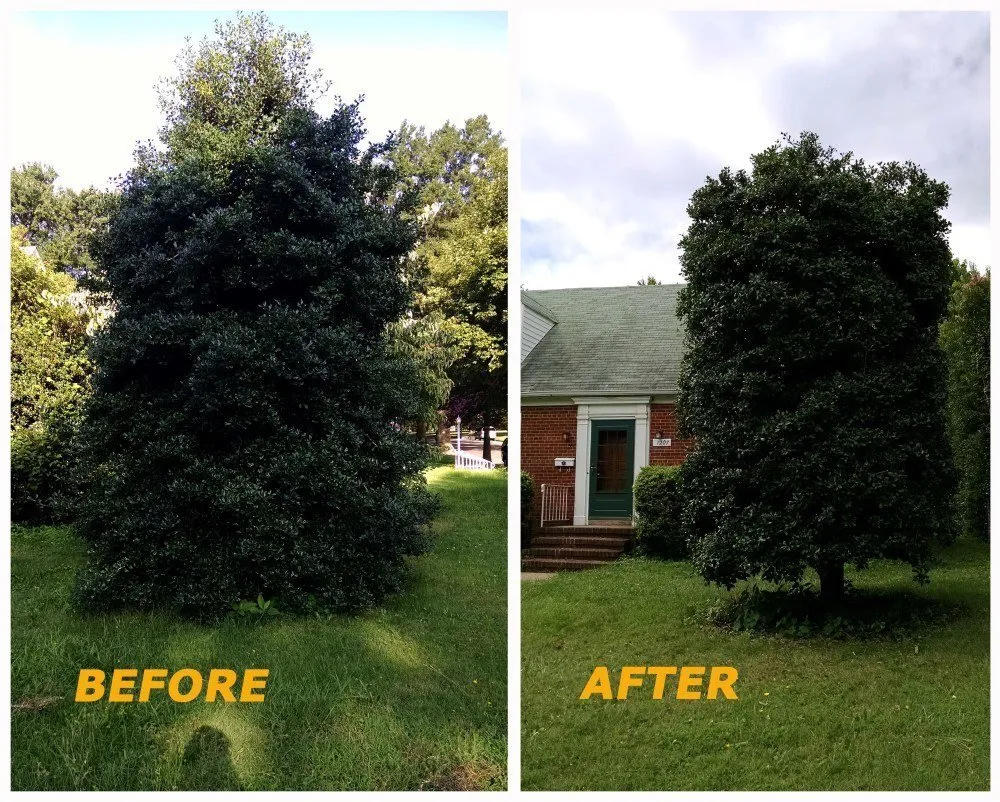 Custom landscaping services experts serving Fredericksburg, VA - Loving's Tree and Stump Removal