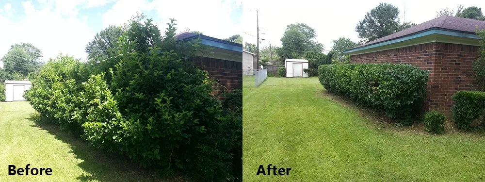 Local landscape installation experts serving Fredericksburg, VA - Loving's Tree and Stump Removal