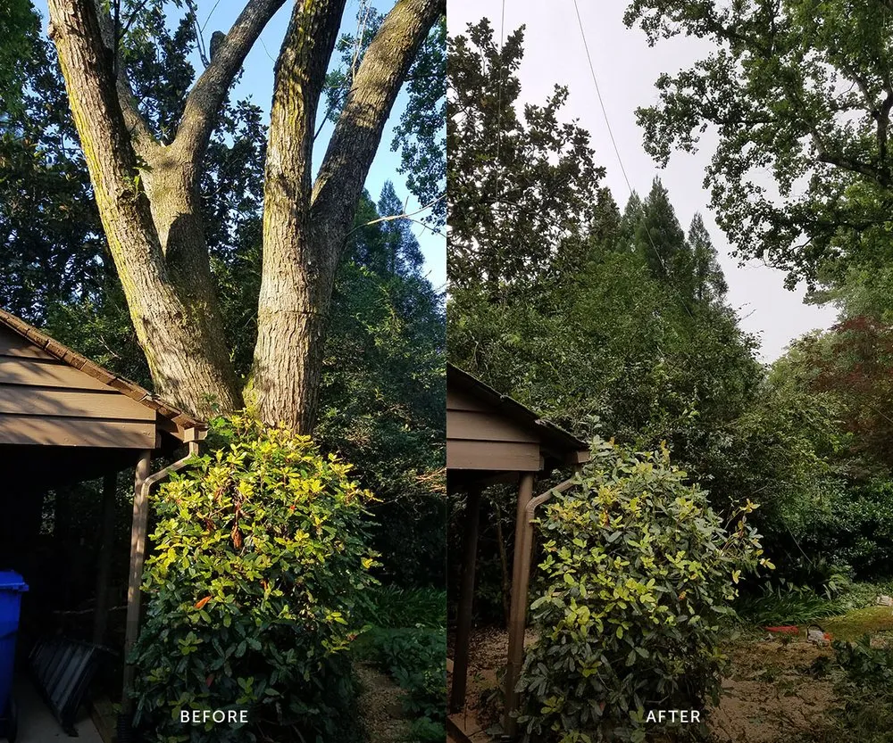 Custom landscaping services in Fredericksburg, VA - Loving's Tree and Stump Removal