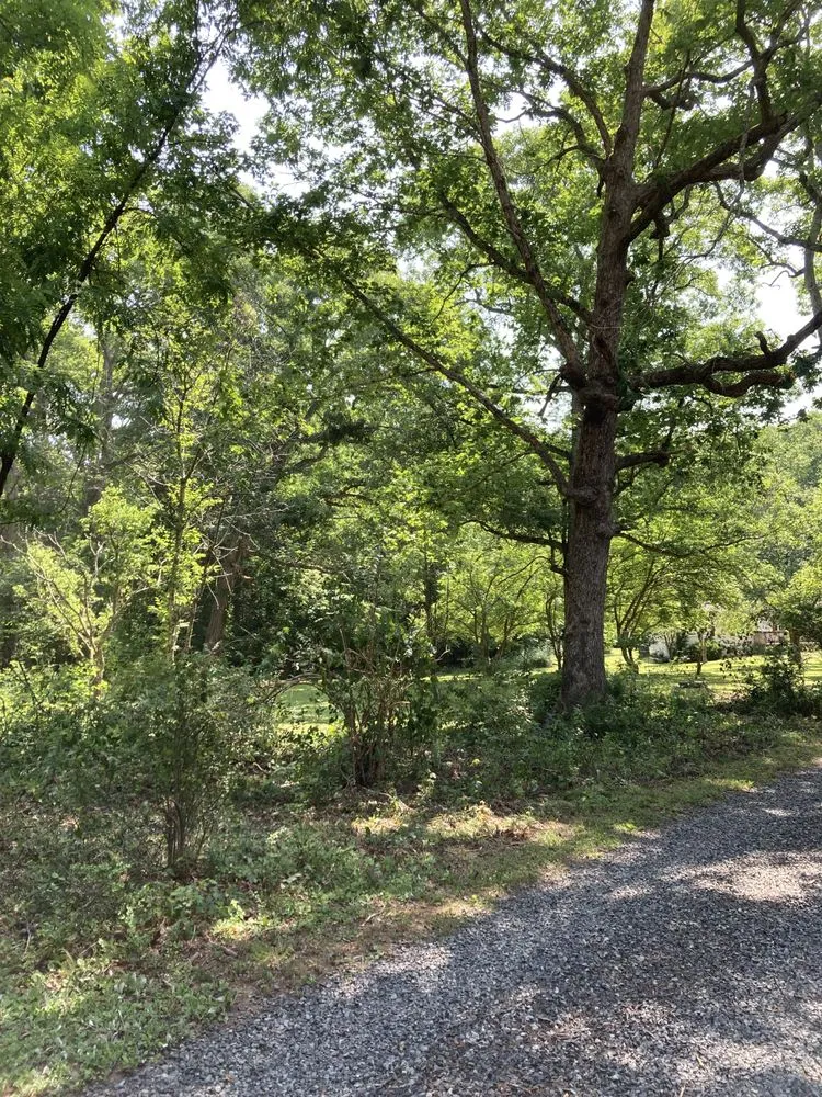 Top-rated landscape installation in Fredericksburg, VA by Loving's Tree and Stump Removal