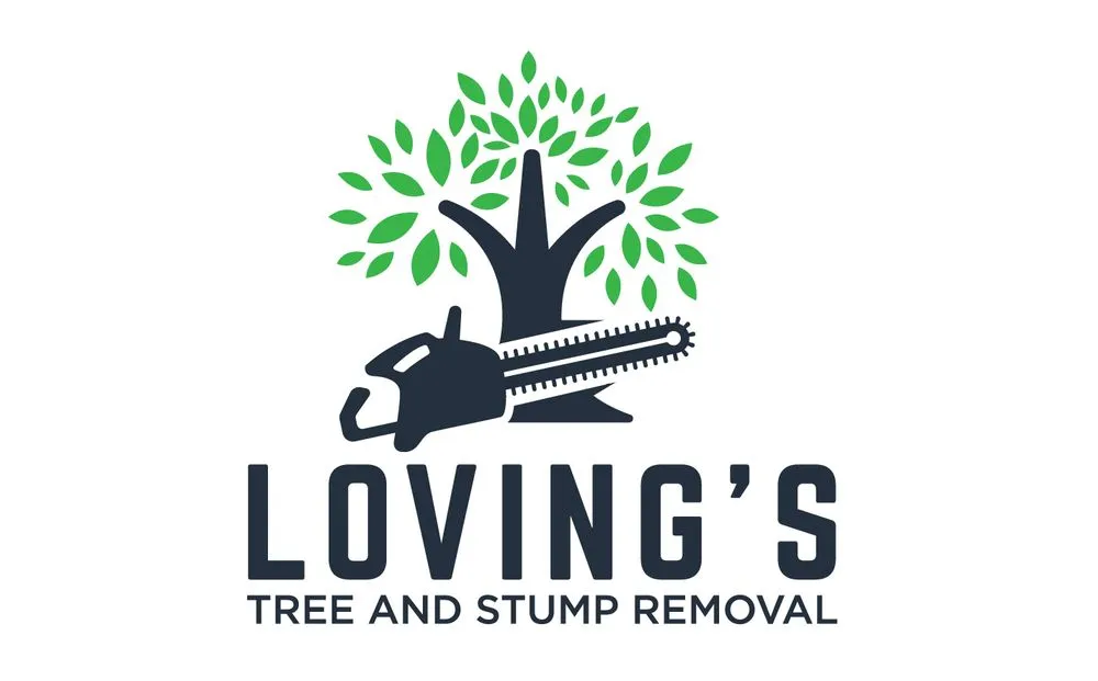 Affordable outdoor landscaping for year-round maintenance in Fredericksburg, VA by Loving's Tree and Stump Removal