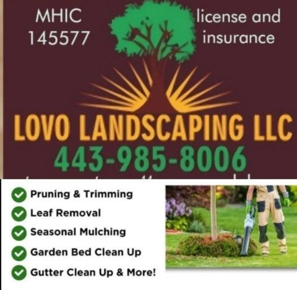 Local landscape installation for outdoor upgrades across Woodlawn, MD - Lovo Landscaping