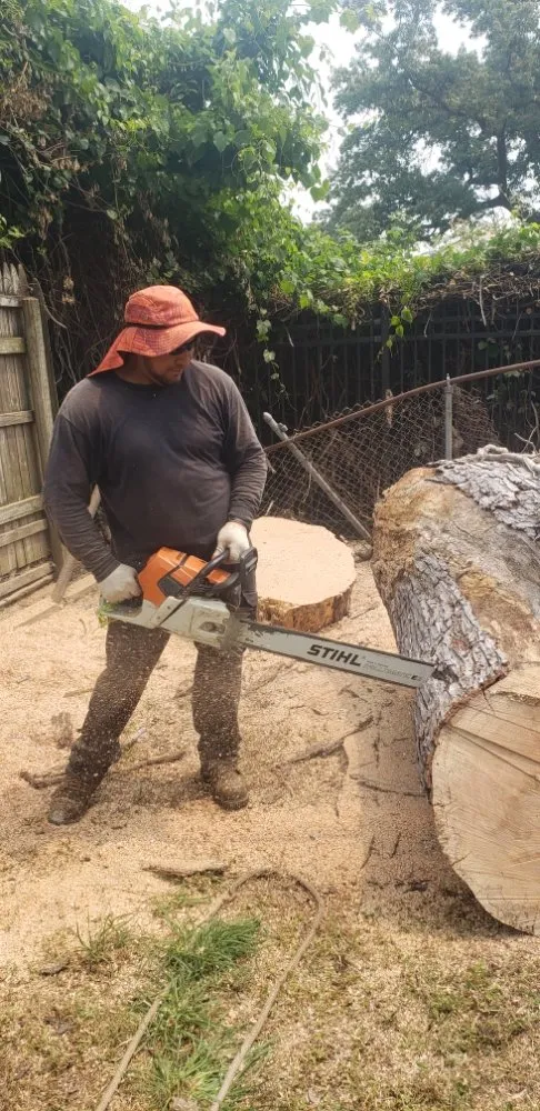 Expert lawn mowing service in Woodlawn, MD - Lovo Landscaping