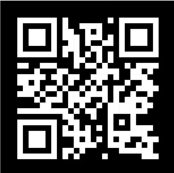 Professional yard cleanup service with custom design in Woodlawn, MD by Lovo Landscaping