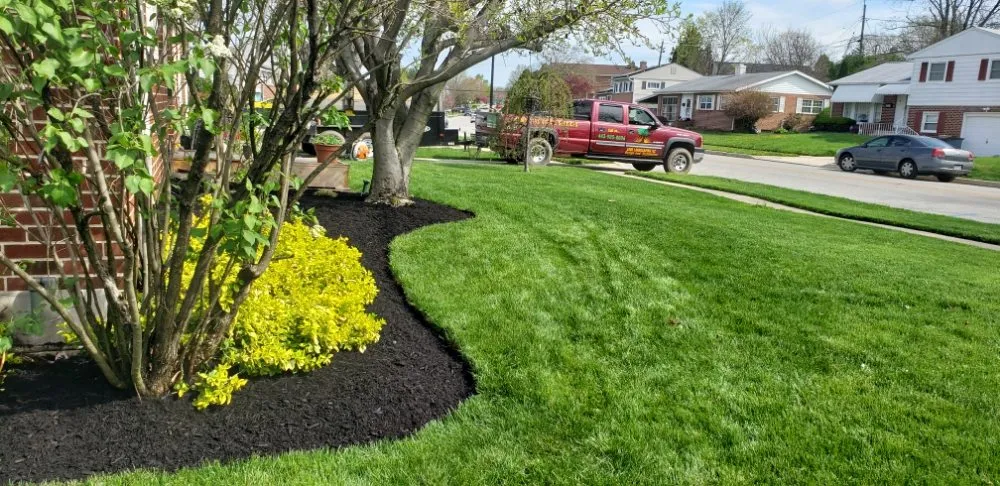 Expert yard maintenance in Woodlawn, MD by Lovo Landscaping