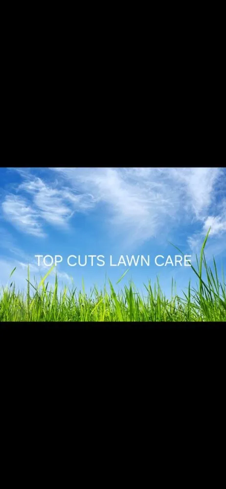 Custom landscaping services in Lake Charles, LA - Low Ball Lawn Care