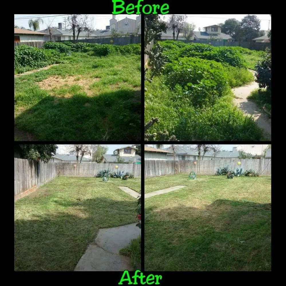 Trusted outdoor landscaping in Clovis, CA - Low Cost Landscaping