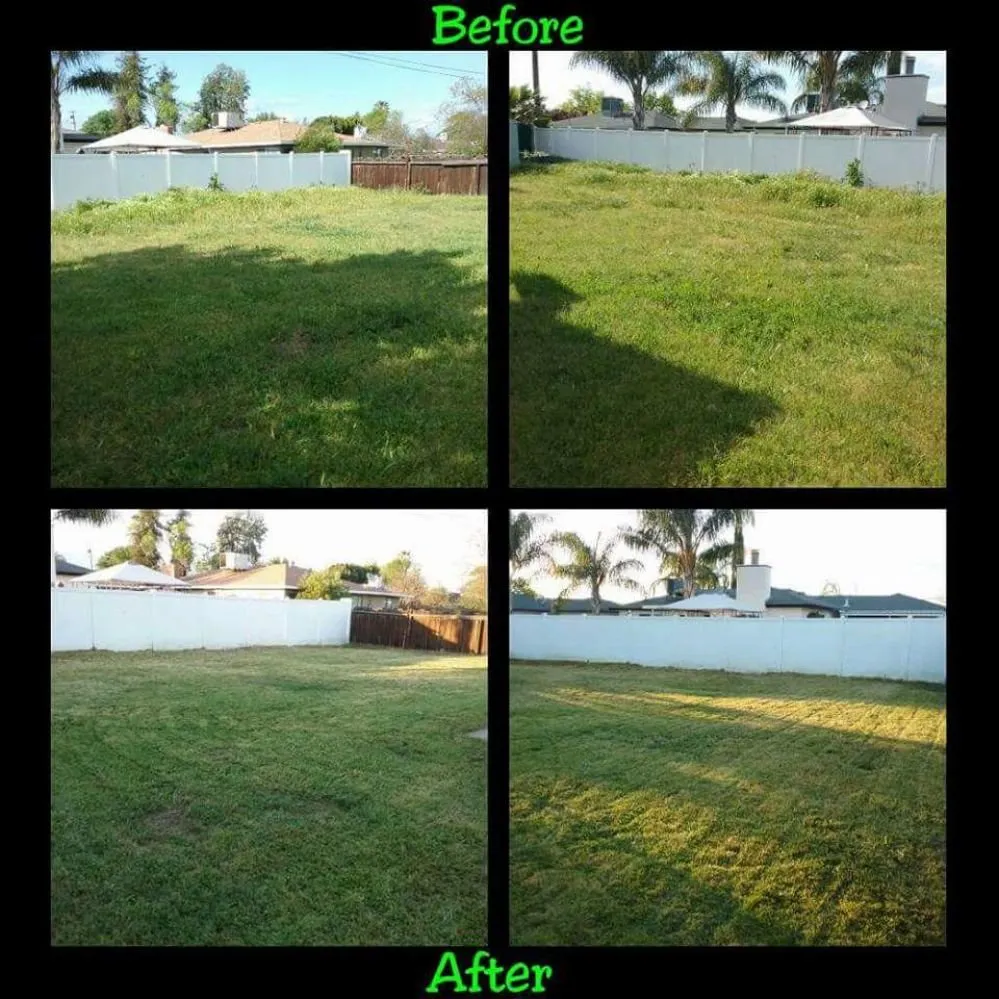 Trusted landscaping services in Clovis, CA - Low Cost Landscaping