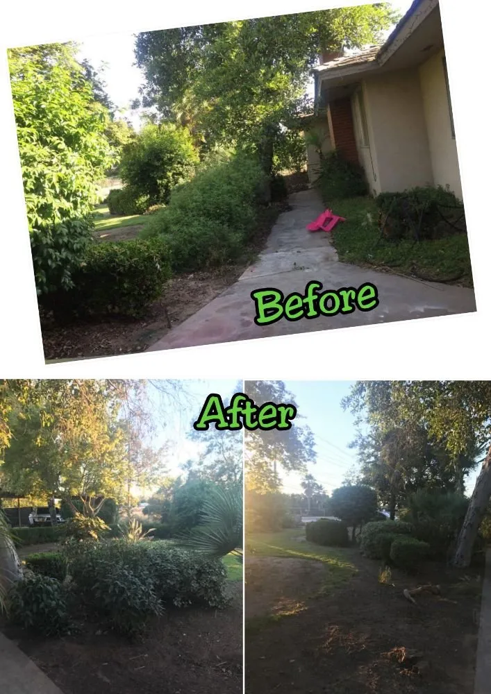 Reliable lawn care service for residential properties in Clovis, CA by Low Cost Landscaping