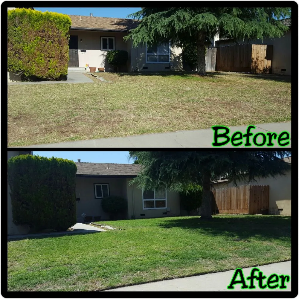 Reliable yard maintenance with custom design in Clovis, CA by Low Cost Landscaping