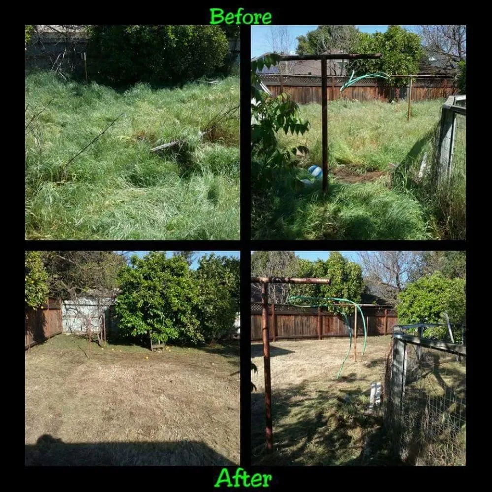 Reliable outdoor landscaping in Clovis, CA - Low Cost Landscaping