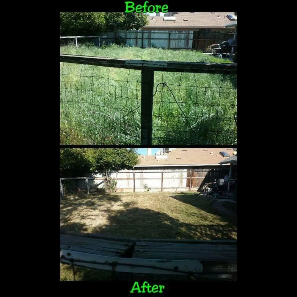 Professional garden landscaping in Clovis, CA - Low Cost Landscaping