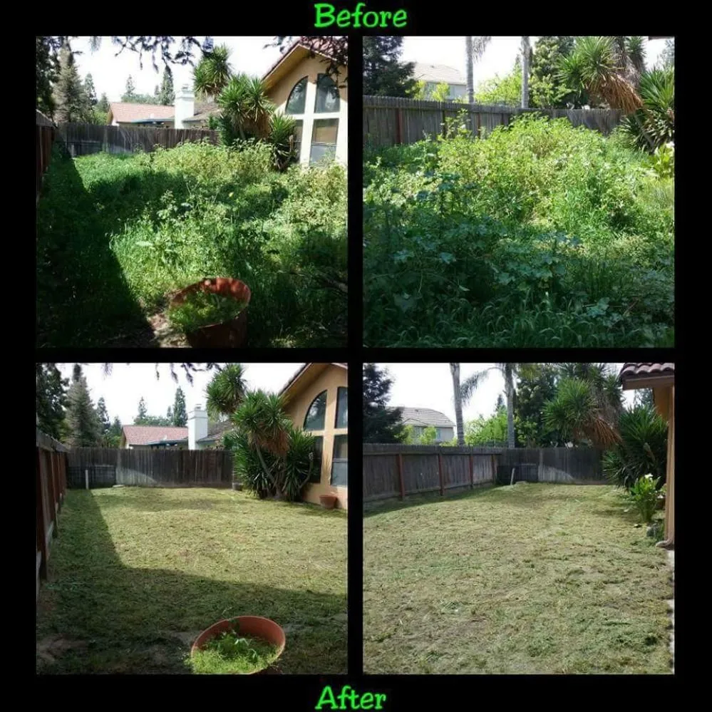 Top-rated yard maintenance experts serving Clovis, CA - Low Cost Landscaping