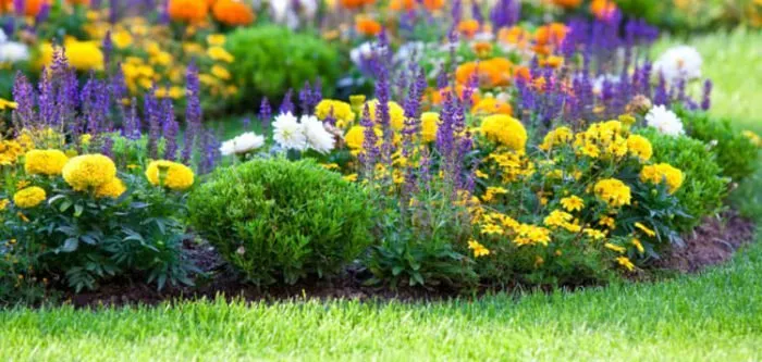 Top-rated residential landscaping experts serving Richmond Hill, GA - Low Cost Lawn Care & Pressure Washing