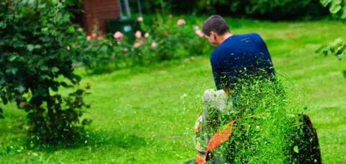 Custom lawn mowing service for year-round maintenance in Richmond Hill, GA by Low Cost Lawn Care & Pressure Washing