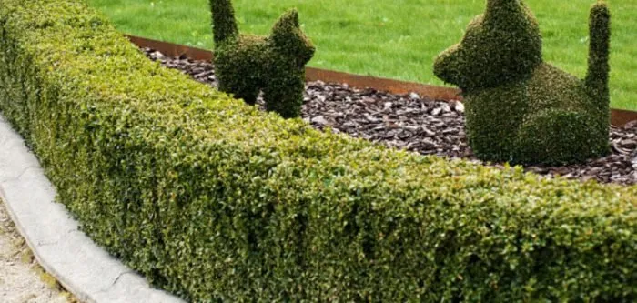 Reliable landscape design in Richmond Hill, GA - Low Cost Lawn Care & Pressure Washing