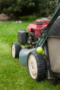 Local landscaping services in Richmond Hill, GA - Low Cost Lawn Care & Pressure Washing