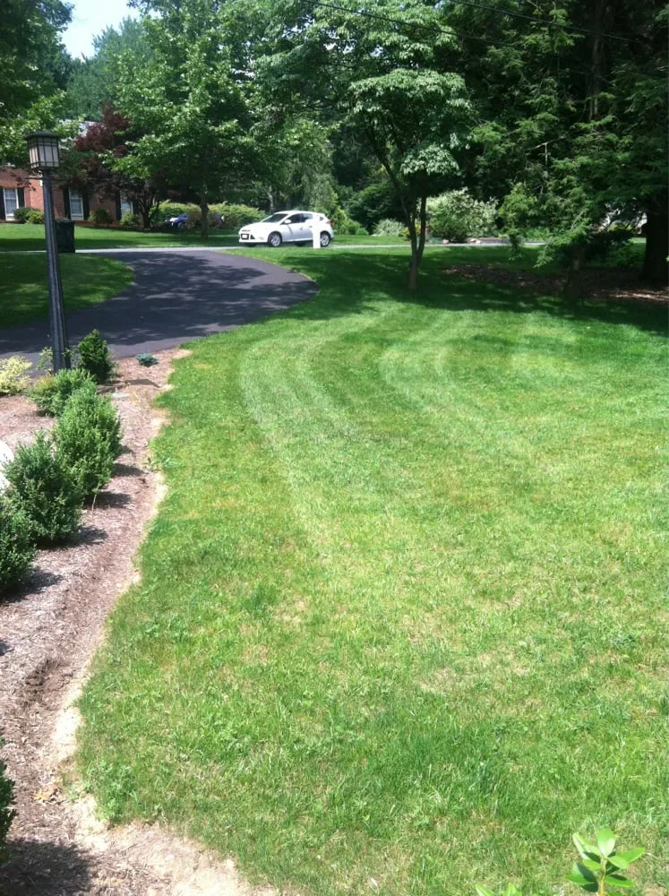 Professional landscape installation experts serving Lancaster, PA - Low Cost Lawn Service