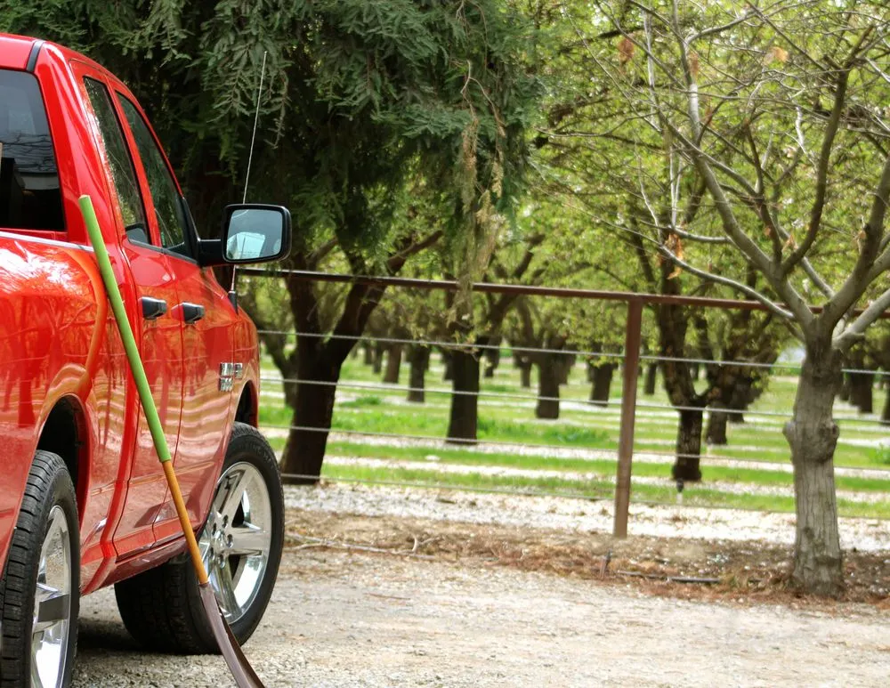 Trusted lawn care service with custom design across Merced, CA - Low Cost Lawncare