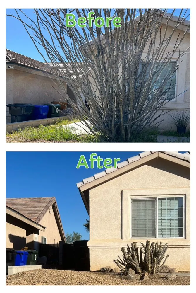 Top-rated lawn mowing service in Hesperia, CA - Low Cost Maintenance