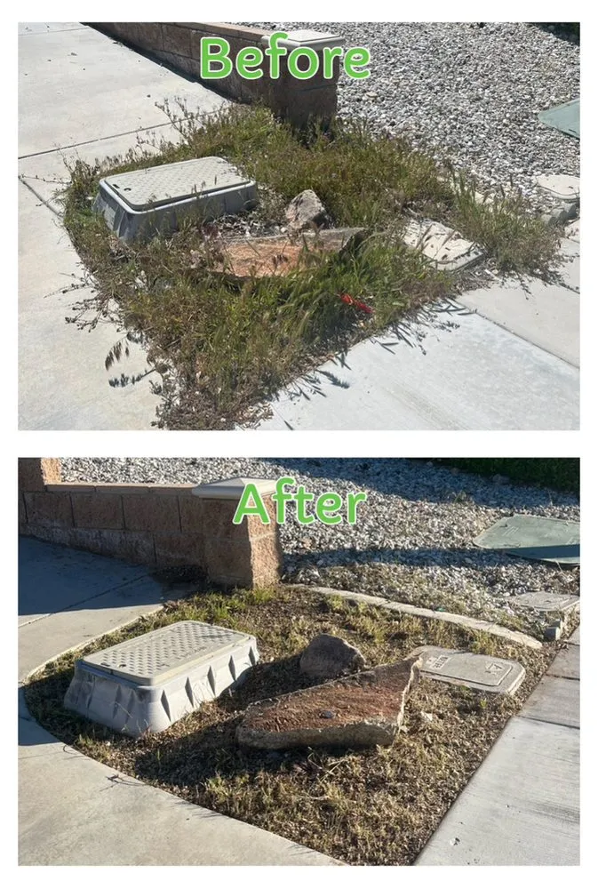 Affordable lawn mowing service in Hesperia, CA - Low Cost Maintenance