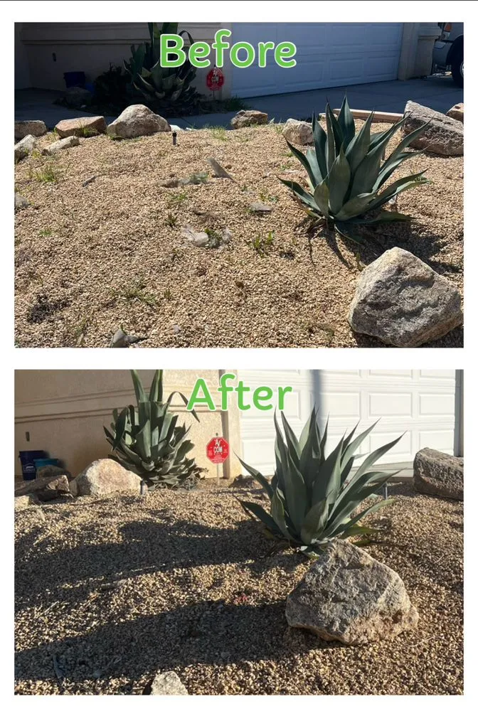 Reliable yard maintenance for year-round maintenance in Hesperia, CA by Low Cost Maintenance